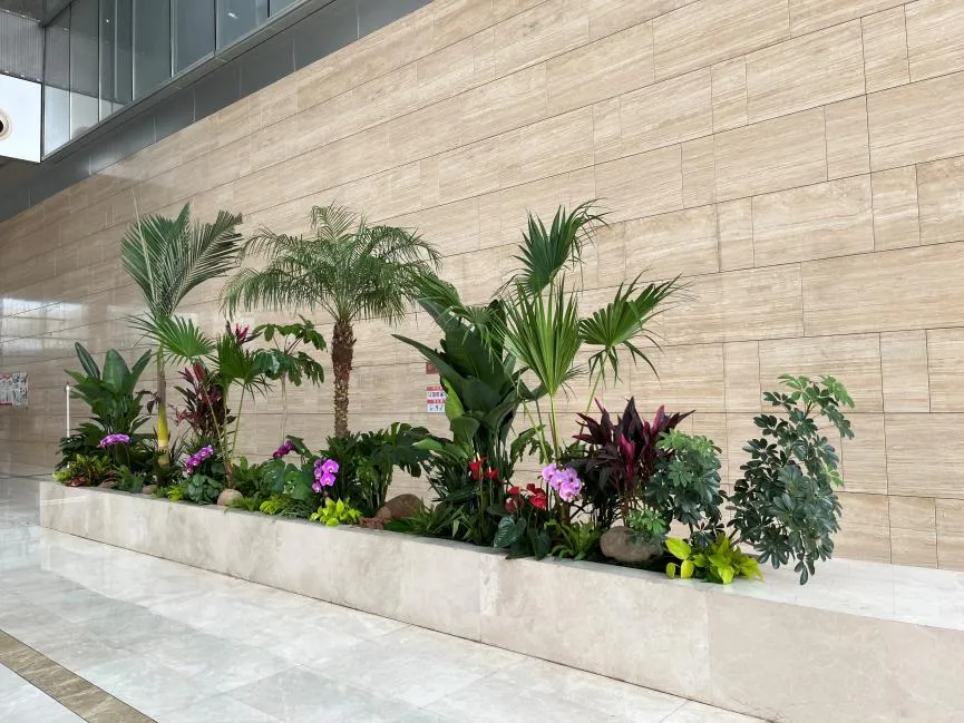 找鄞州盆景租摆，哪家能打造别具一格的景观？